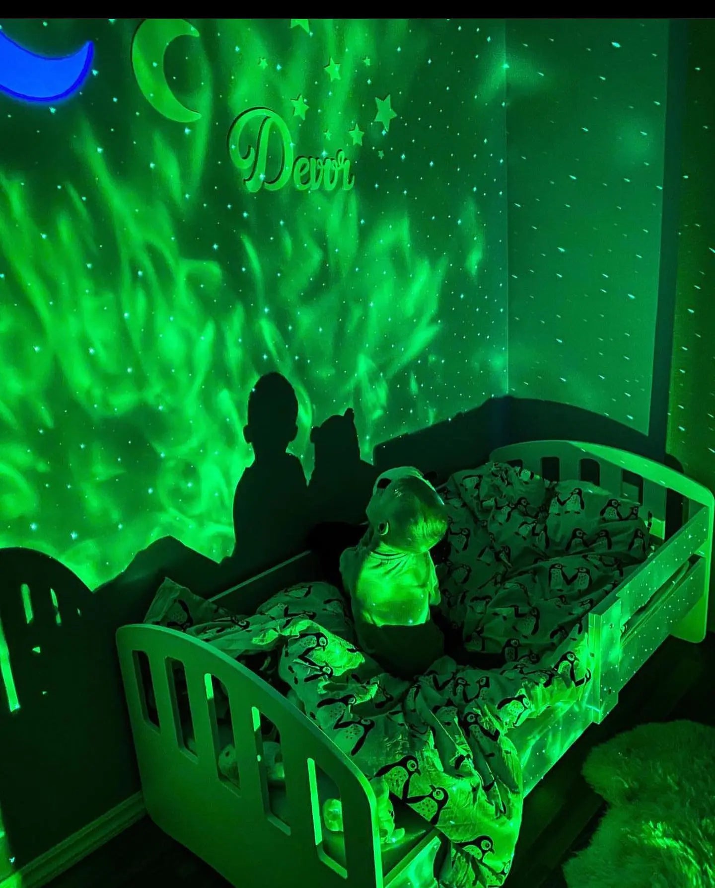 Northern Lights Projector